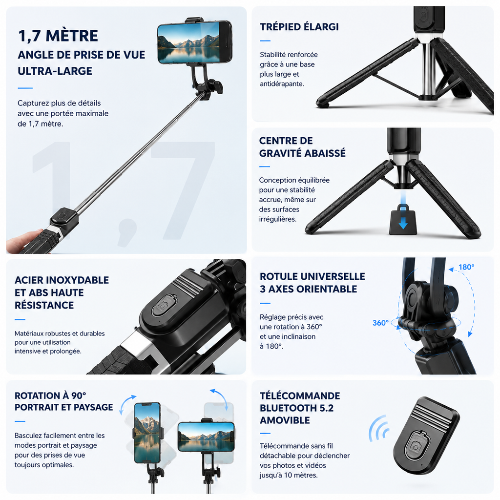 Perche Téléscopique